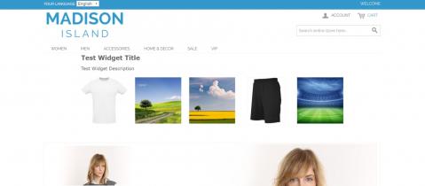 Check your own Instagram Widget on your website Check your own Instagram Widget on your website