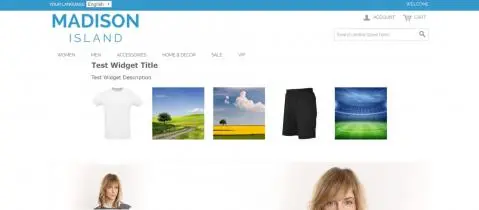 Check your own Instagram Widget on your website Check your own Instagram Widget on your website