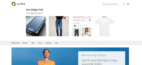 Check your own Instagram Widget on your website Check your own Instagram Widget on your website