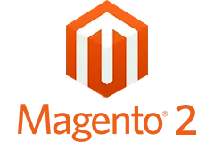 Magento custom development services