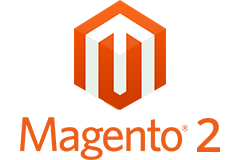 Magento custom development services